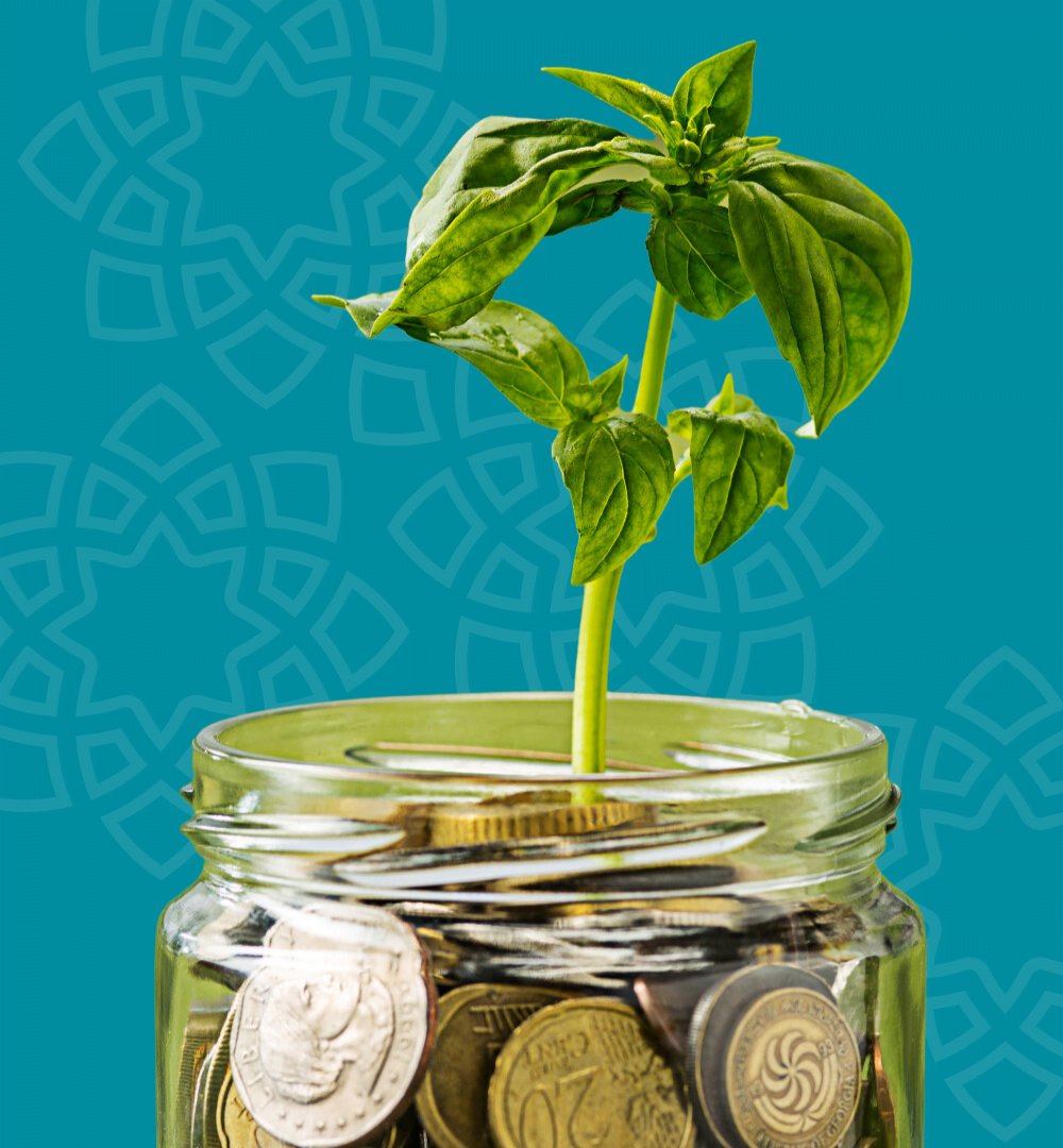 Islamic Impact Investing