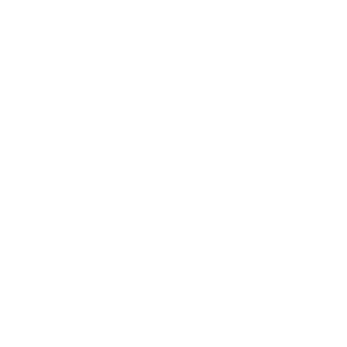 محمد زكريا فضل