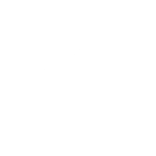 محمد زكريا فضل